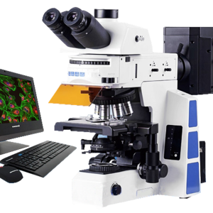 研究級正置熒光顯微鏡
